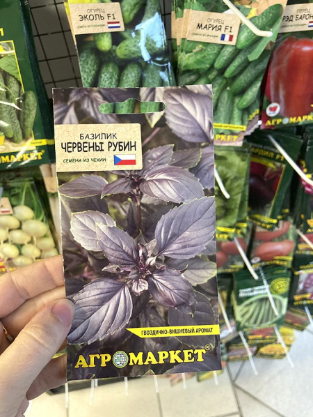 Базилик Червены рубин